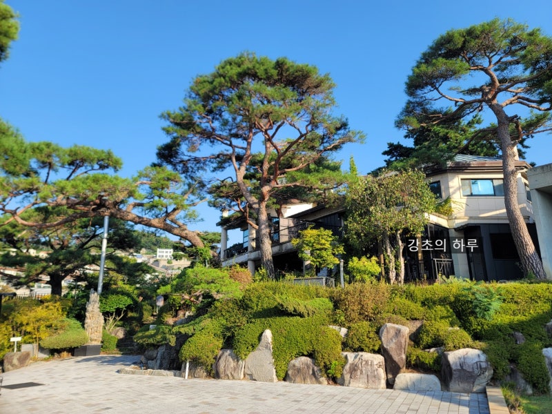 경남 고성 로얄 마리나앤리조트 / 마리나리조트 / 별장동 / 고성 공룡엑스포 숙소