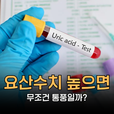 요산수치 높으면 바로 통풍일까? 정상수치, 낮추는법ㅣ망고의 바디시그널