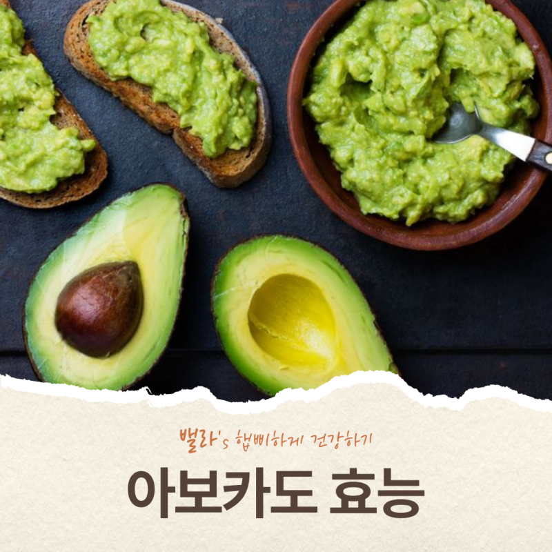 아보카도 효능과 부작용, 반 개 칼로리부터 보관법까지