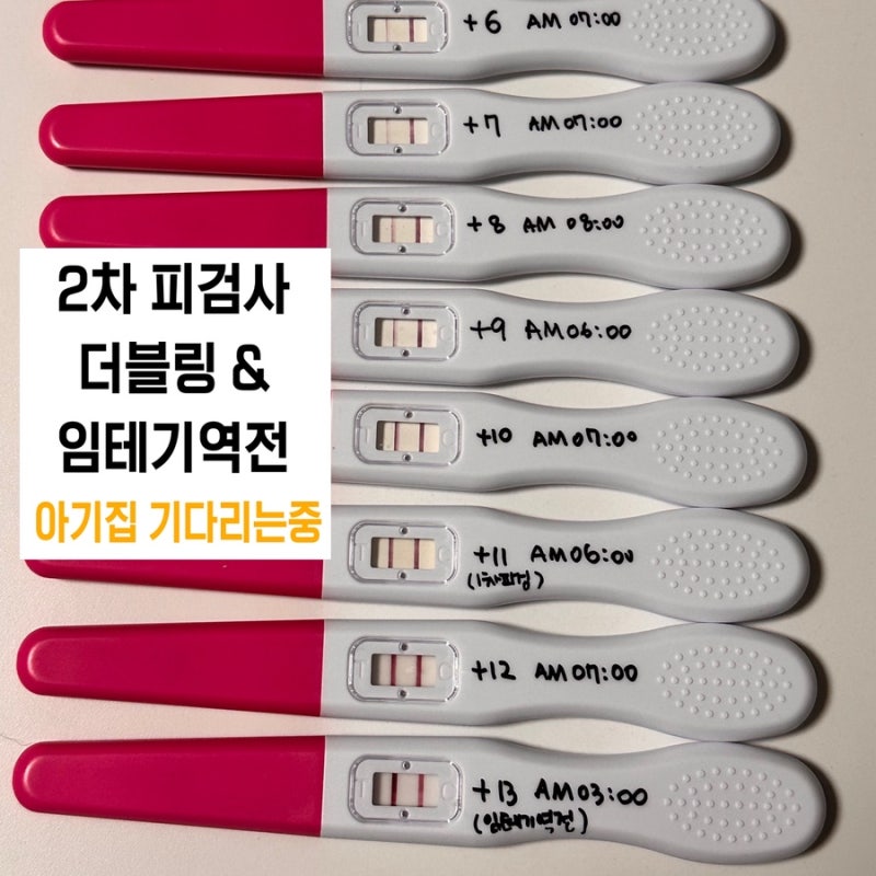시험관 2차 피검사 더블링, 임테기 역전 후 아기집 초음파 기다리는 중