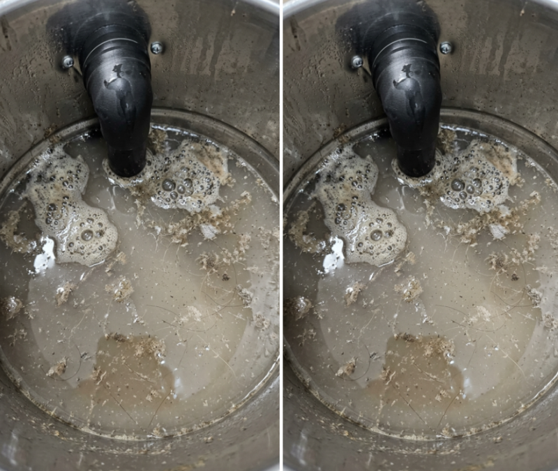 아쿠아텍스 쇼파청소 전문 반려동물 육아가정 청소는 필수 입니다