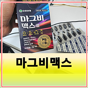 마그비맥스 가격 성분 효능 유한양행 마그비 종류