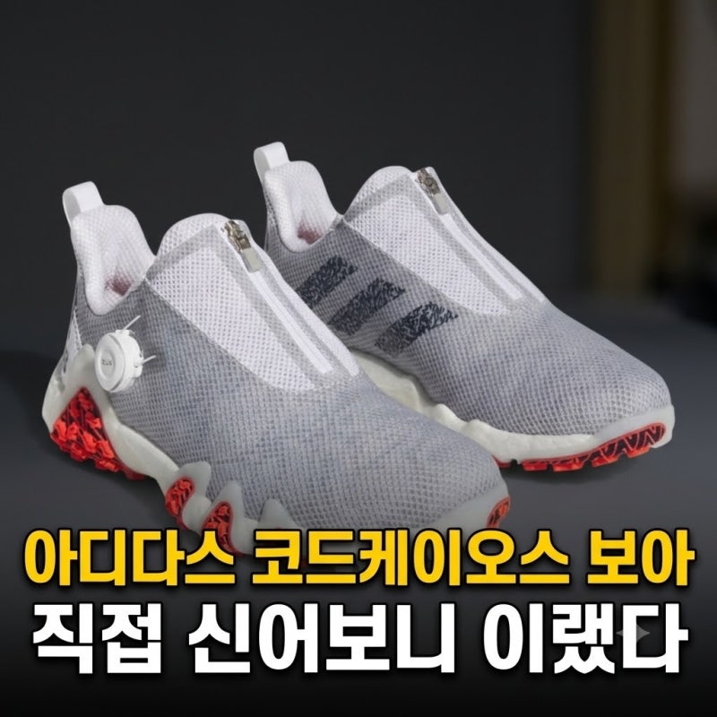 아디다스 골프화 코드케이오스 스파이크리스 보아 최저가 비교 후기 사이즈 추천