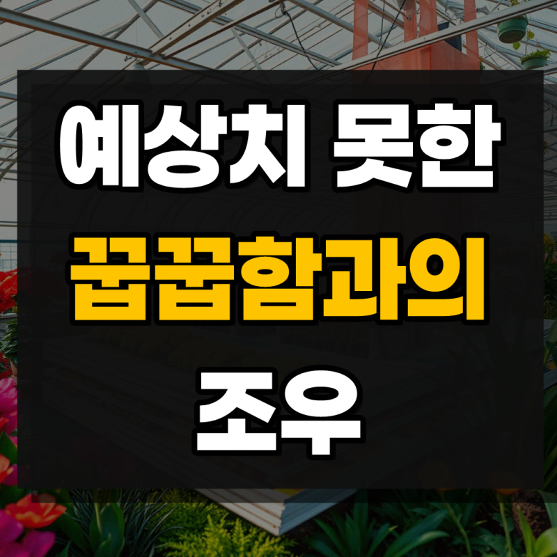 필립스 스팀다리미 1000시리즈, 자취생 친구한테 추천할 만할까?