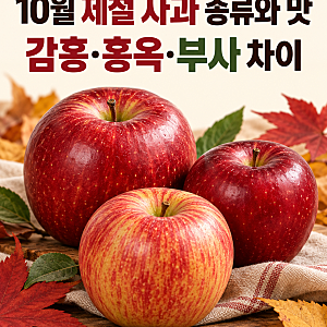 10월 제철 사과 종류와 맛, 감홍·홍옥·부사 차이