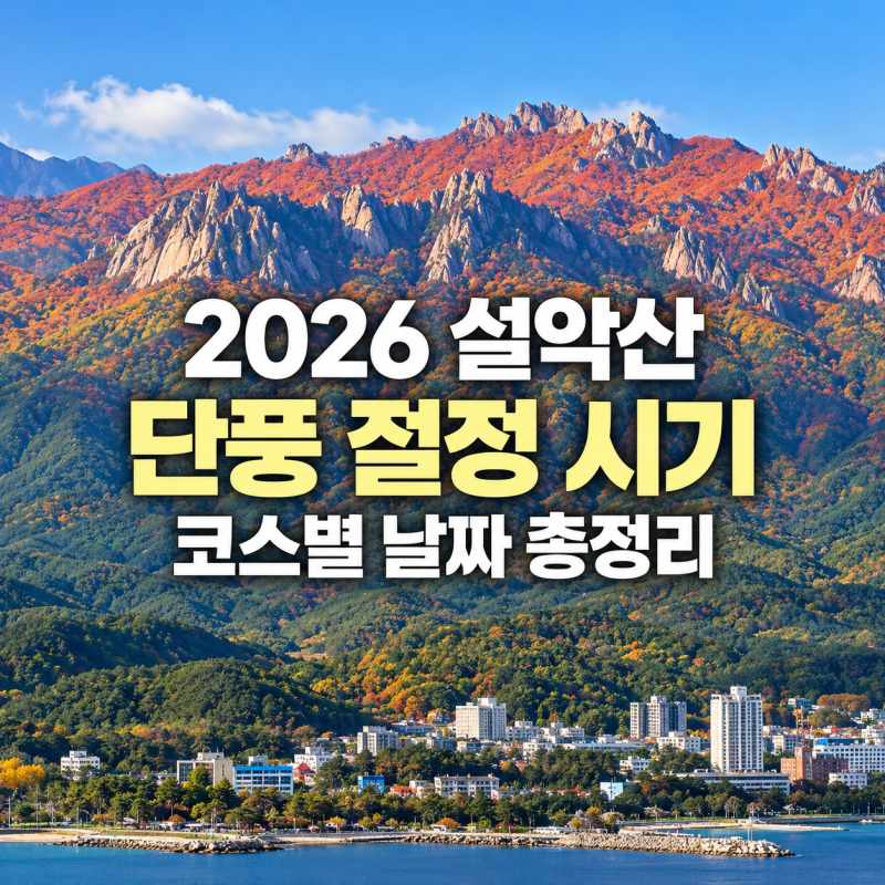 설악산 단풍 지금 가도 될까? 2026 코스별 절정 시기·케이블카·주차·실시간 확인법 총정리