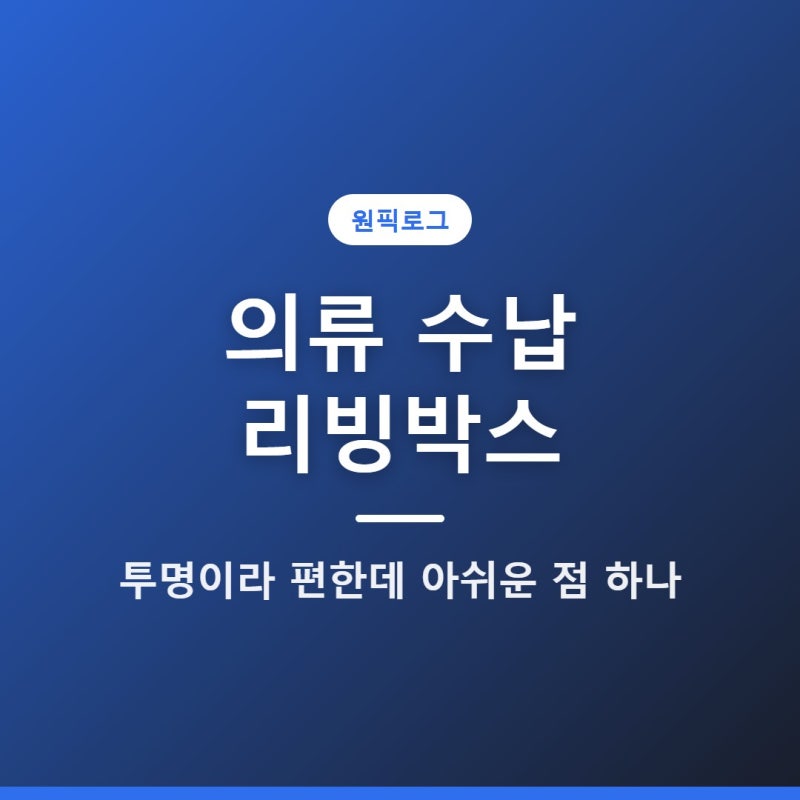 의류 수납 리빙박스, 투명이라 편한데 아쉬운 점 하나