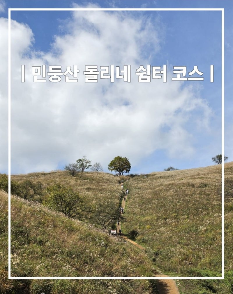 민둥산~돌리네쉼터~증산초교 코스 하산 후기(임도)