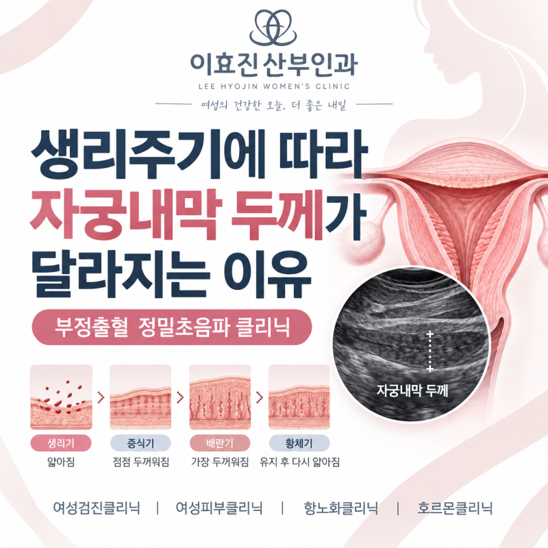 생리주기에 따라 자궁내막 두께가 달라지는 이유, 초음파는 언제 봐야 할까요?