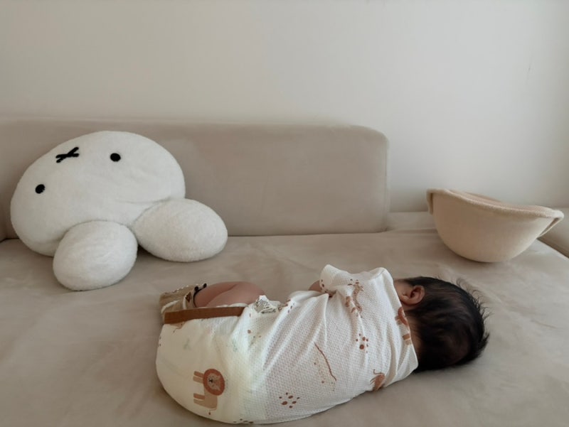 생후 35일차 신생아 키우기 (서울여성병원 조리원, 자연단유 성공, 도담도담 대전 산후도우미....
