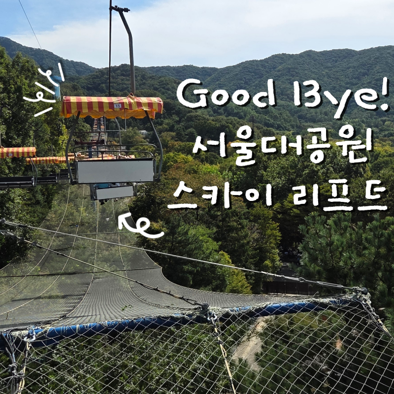 서울대공원 아기랑 꿀팁!+ 개천절 방문 후기 (경기똑D 다자녀 무료입장·다둥이할인·스카이....