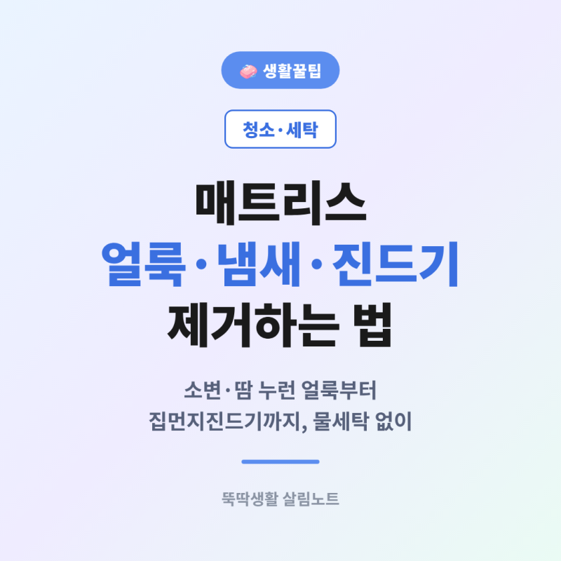 매트리스 얼룩·냄새·진드기 제거하는 법 총정리