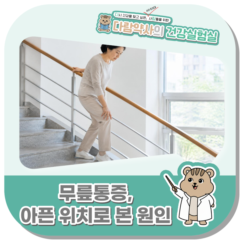 무릎통증 원인, 아픈 위치별 차이와 병원 갈 때
