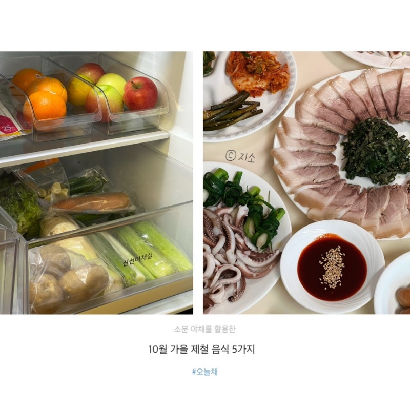 10월 가을 제철 식재료 | 소분야채 활용한 5가지 요리 | 오늘채