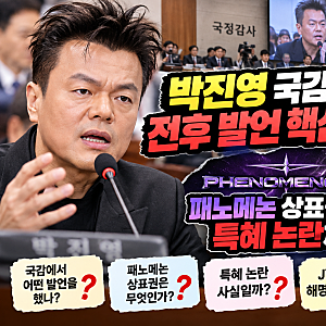 박진영 국감 출석 전후 발언 핵심 정리, 패노메논 상표권부터 특혜 논란까지