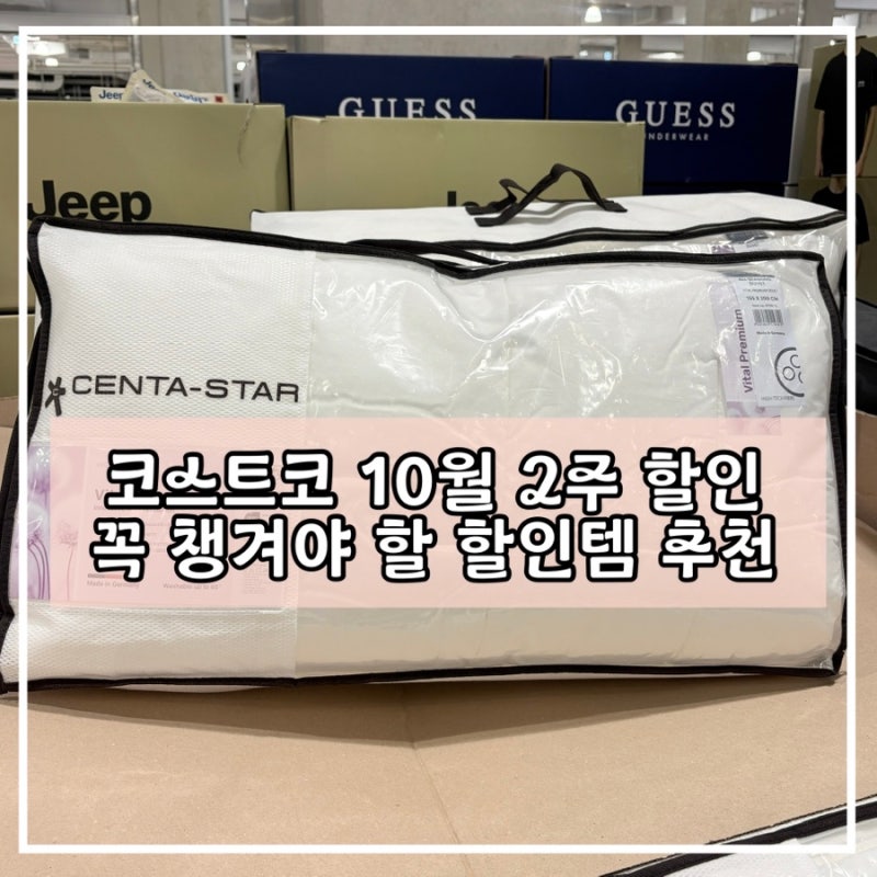코스트코 10월 2주 할인 총정리｜센타스타 이불·세제·쇼핑카트 가격