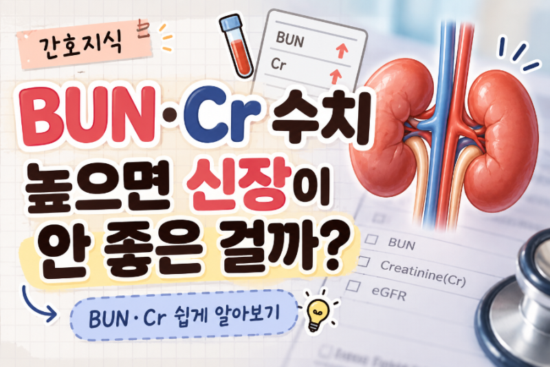BUN·Cr 수치 높으면 신장이 안 좋은 걸까?｜BUN·Cr 쉽게 알아보기