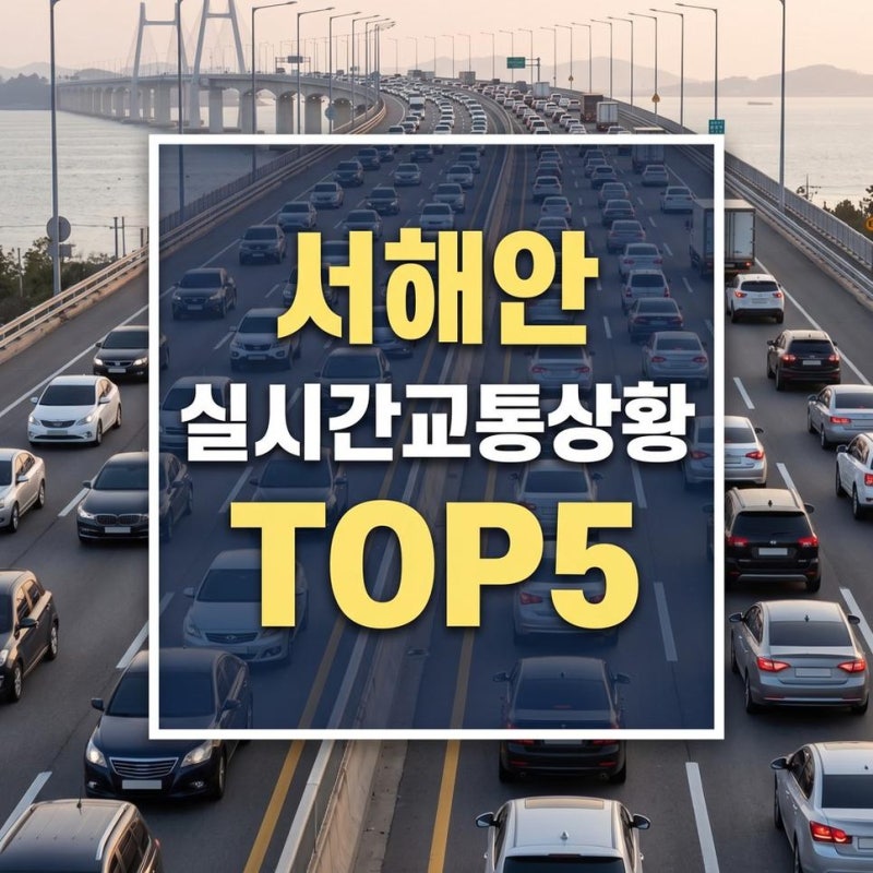 서해안고속도로 교통상황 cctv 실시간 오늘 목포 서울방향