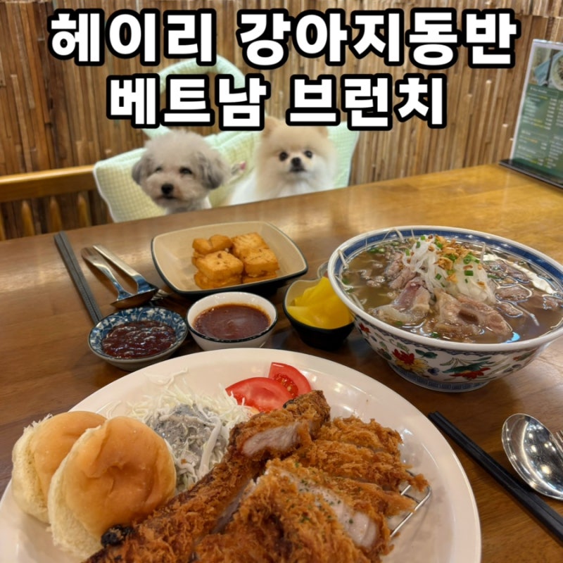 파주 헤이리 애견동반 맛집 헤이준브런치카페｜쌀국수 돈마호크돈까스