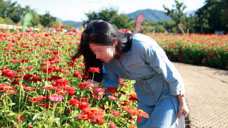 "함양산삼축제에 산삼이 없네?" 상림공원에 꽃 구경하러가요!!