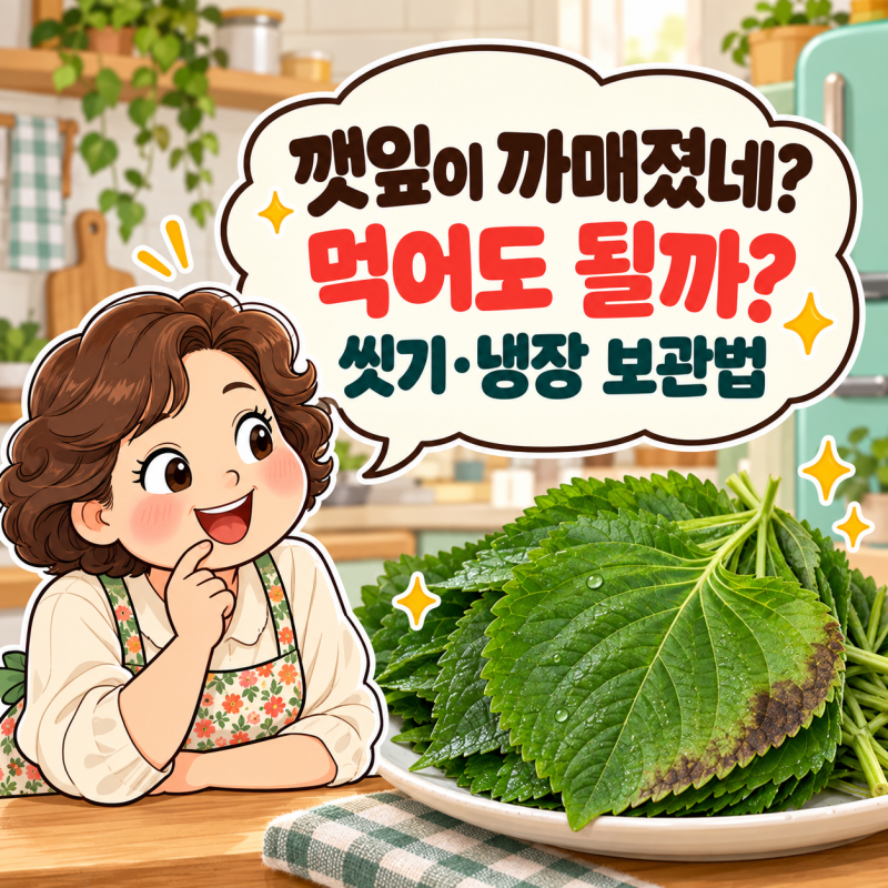 깻잎 보관법, 씻어서 냉장할까? 검게 변하는 이유까지