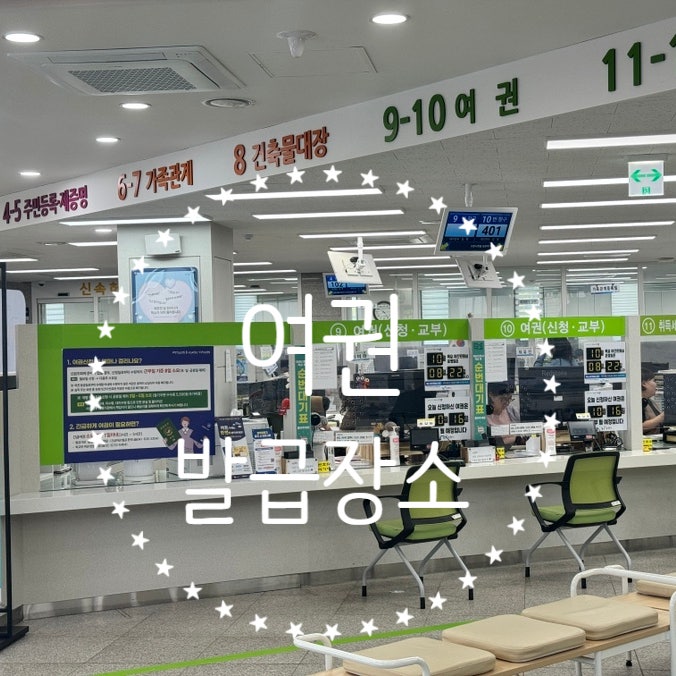 여권 재발급 장소 어디로 가야 할까? 구청·시청·온라인 신청 방법 총정리 'Passport Guide'