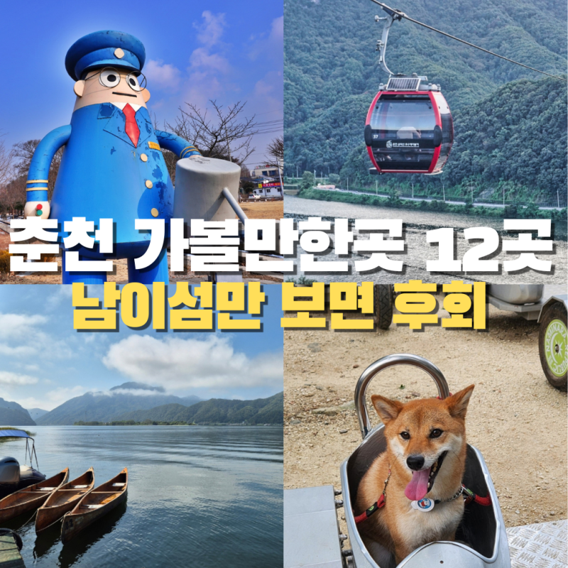 "남이섬만 보고 가면 후회" 춘천 가볼만한 곳 12곳 명소부터 카페, 닭갈비, 시장까지 애견동반....