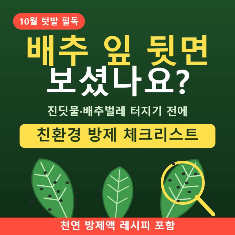 10월 텃밭 배추 잎 뒷면 안 보면 터진다? 진딧물·배추벌레 친환경 방제 체크리스트