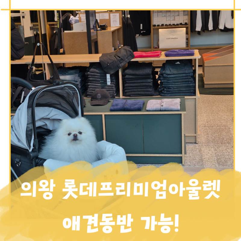 의왕 롯데프리미엄아울렛 애견동반 후기, 입장 규칙과 펫모차 대여 꿀팁