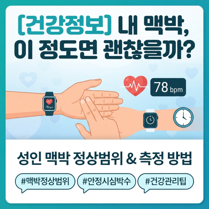 성인 맥박 정상범위 & 정확한 심박수 측정법 총정리