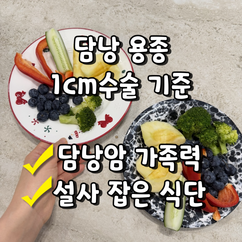 담낭 용종 1cm 수술 기준과 담낭암 가족력과 설사와 변비에 좋은 식단