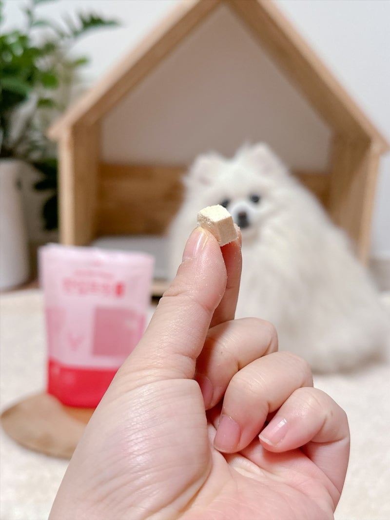 강아지 동결건조 간식 노견 영양식 닭가슴살로 선택