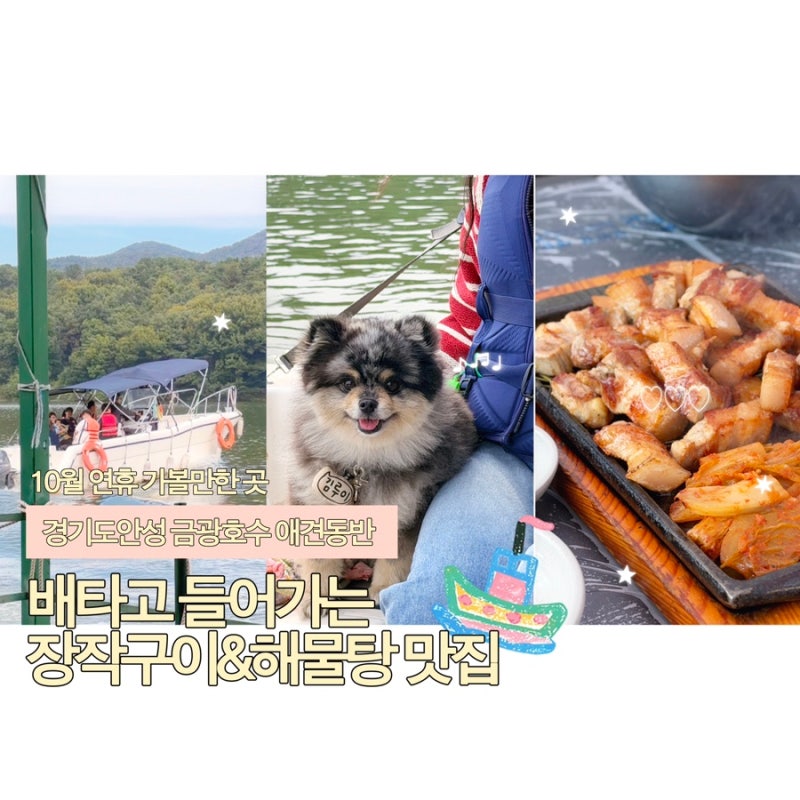 안성 애견동반 맛집 강건너빼리, 반려견과 보트 타고 들어가는 금광호수 장작삼겹살 맛집