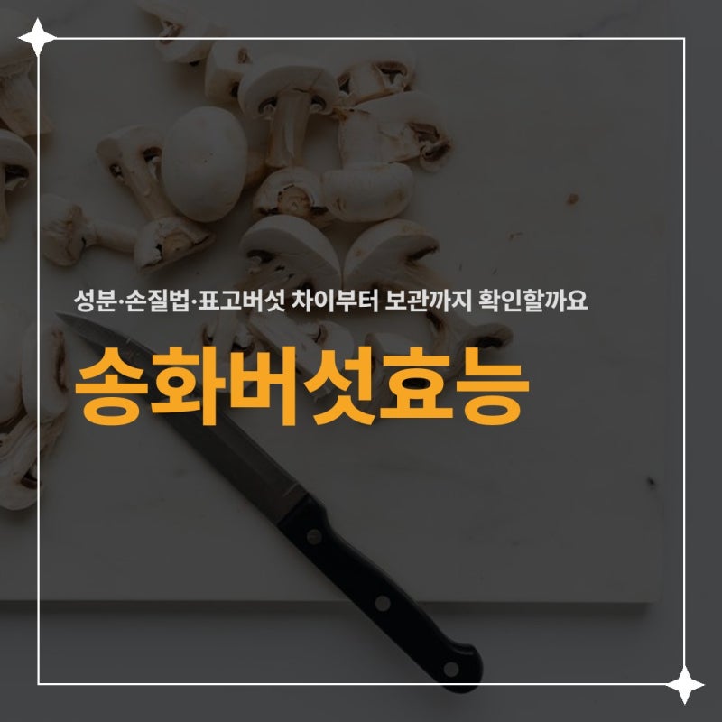 송화버섯효능, 성분·손질법·표고버섯 차이부터 보관까지 확인할까요?