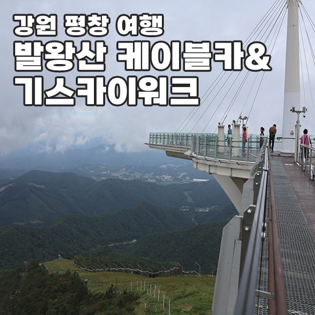 강원도 평창 단풍 절정시기 발왕산 케이블카 기 스카이워크 예약 방법