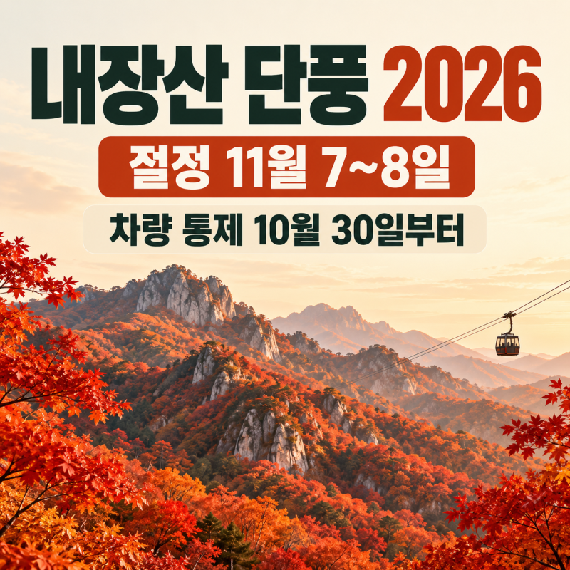 내장산 단풍 2026, 절정 11월 7~8일과 차량 통제 17일 한 번에 정리