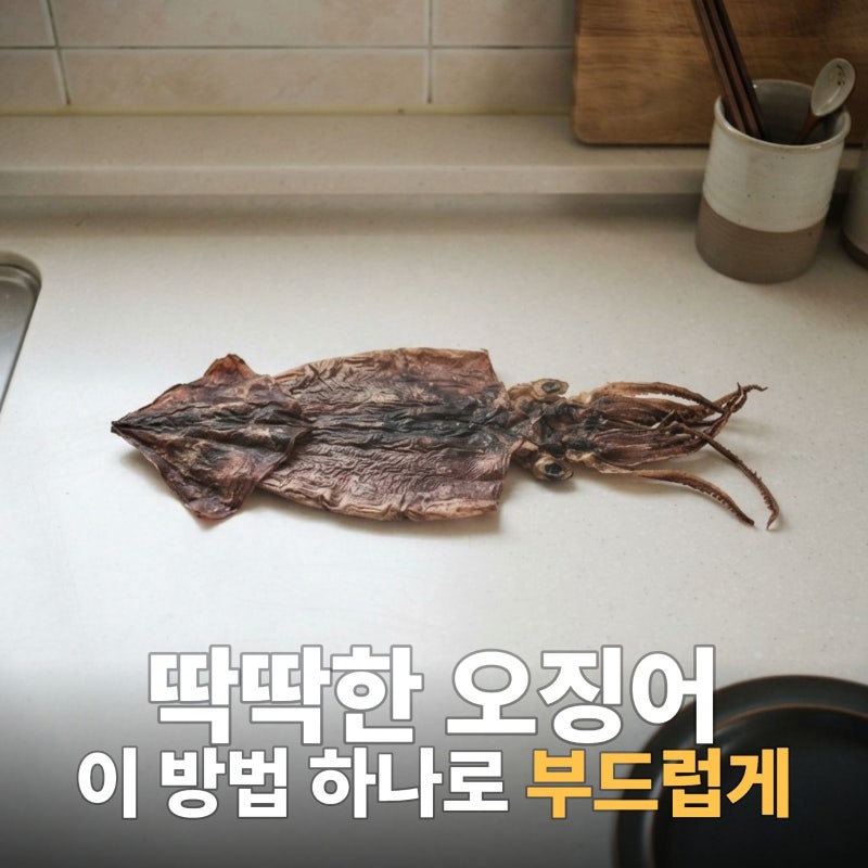 마른오징어 요리법 완벽 가이드, 마른오징어 요리,마른오징어 부드럽게,오징어볶음 레시피, ....