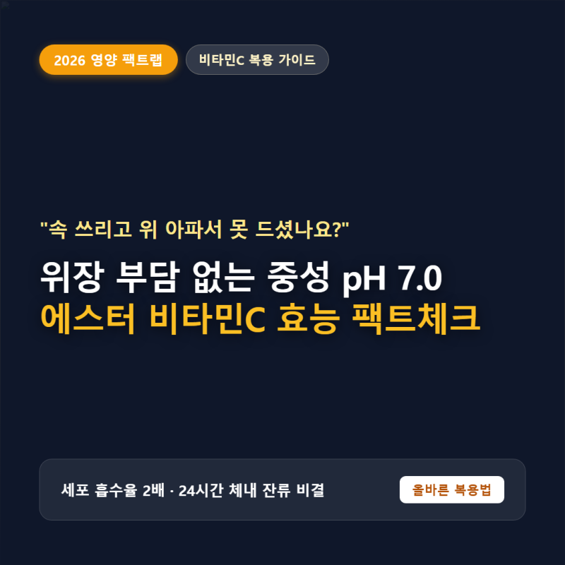"속 쓰리고 위 아파서 비타민C 못 드셨나요?" 2026 속 편한 중성 에스터 비타민C 효능과 일반 비....