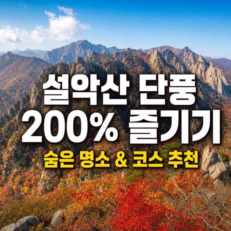 "등산객 90%가 놓치는 비경?"...설악산 단풍시기, 숨은 명소 포함한 난이도별 코스 추천