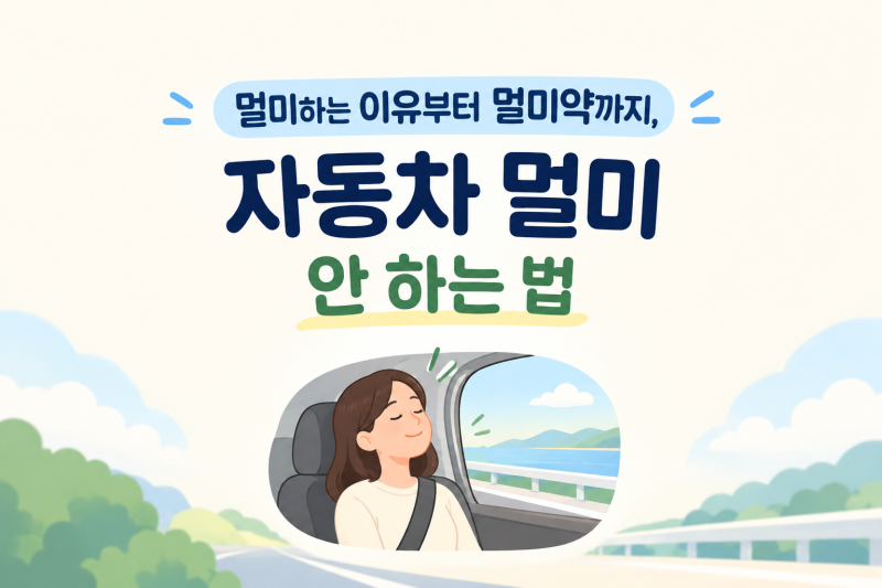 멀미하는 이유, 자동차 멀미 안 하는 법부터 멀미약 보나링 츄어블 성분·복용법까지