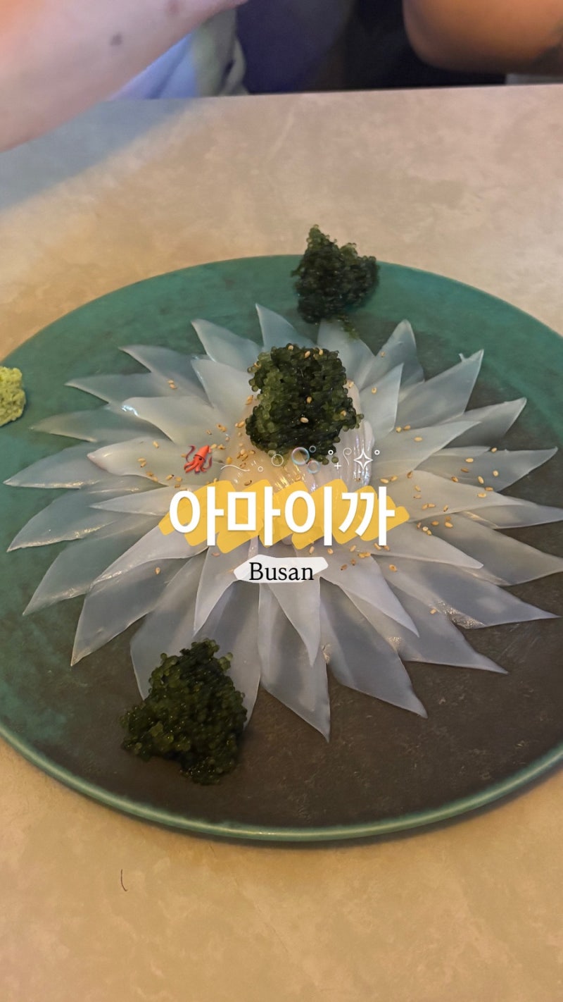 부산 부전동 아마이까 - 무늬오징어 사시미가 시그니처인 서면 이자카야 단체 모임 솔직 후....