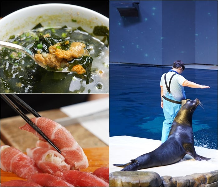 제주 아쿠아플라넷 아쿠아리움 포함 제주 성산 가볼만한곳 제주도 추천 코스
