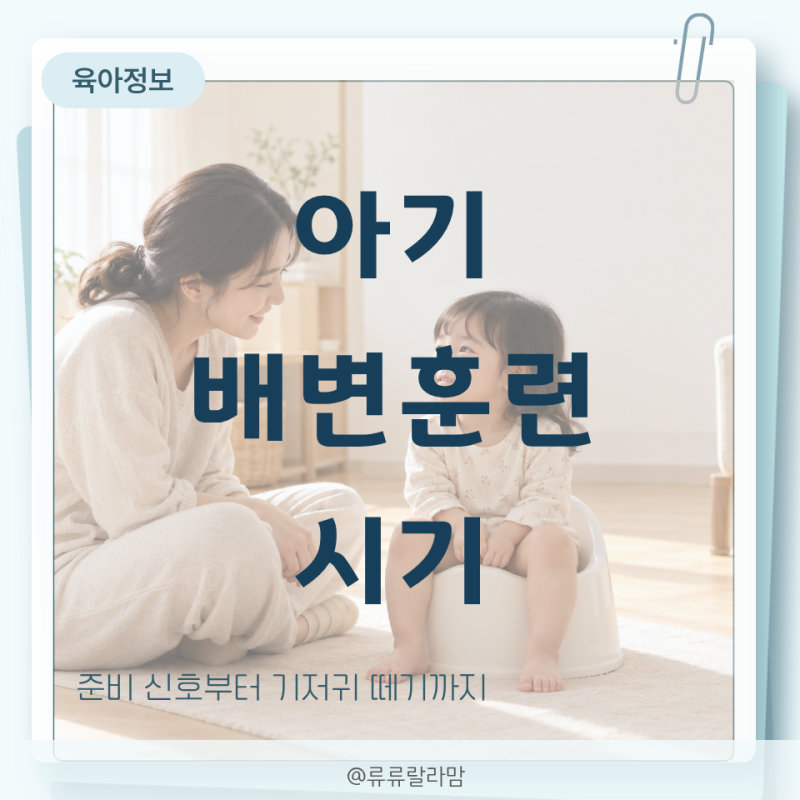 아기 배변훈련 시기 언제부터? 준비 신호와 기저귀 떼기 순서
