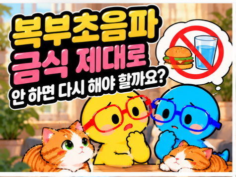 복부초음파 금식, 물 한 모금도 안 될까요…검사 부위에 따라 준비가 달라집니다