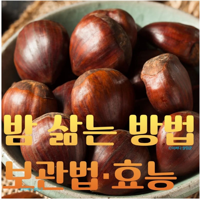 실패 없는 밤 삶는 방법부터 보관법·효능까지 총정리