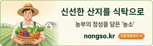 우엉 보관 실패하는 6가지, 씻어서 넣으면 먼저 무릅니다