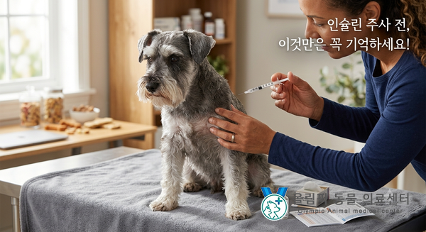 강아지 당뇨 인슐린 주사 방법부터 보관법, 주의사항 총정리 [올림픽동물의료센터]
