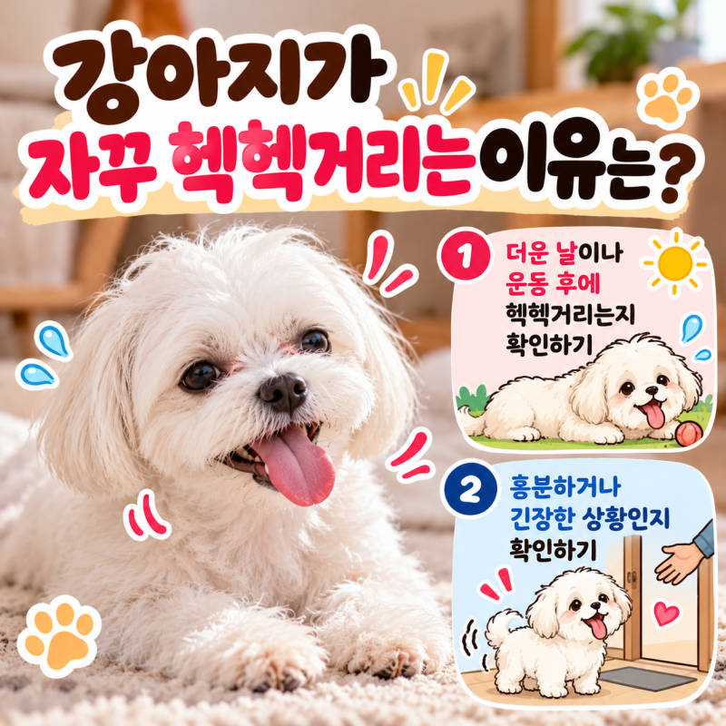 강아지가 자꾸 헥헥거리는 이유는?｜덥지 않은데 숨을 가쁘게 쉴 때 확인할 것