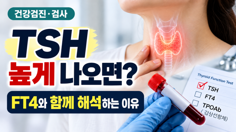 건강검진 TSH 높게 나오면 갑상선기능저하증일까? FT4·갑상선항체까지 같이 보는 이유