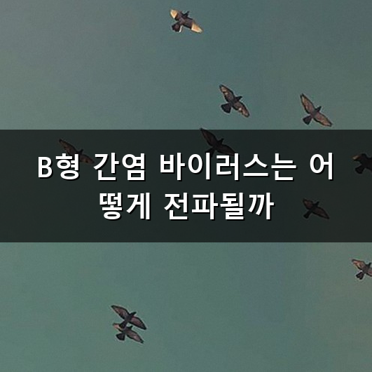 B형 간염 접종 왜 꼭 챙겨야 할까? 성인 예방접종 일정과 항체 검사